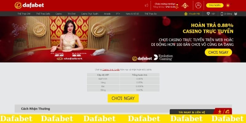 Thưởng casino hoàn trả khủng